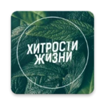 Logo of Хитрости Жизни android Application 